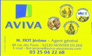 aviva.jpg