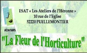 esat.jpg