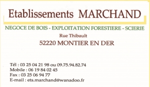 marchand 2017 (1).jpg